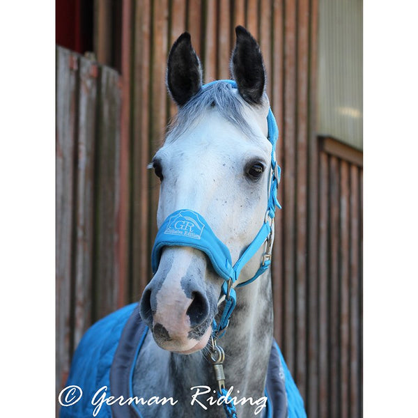 Fleecehalfter "Exclusive Collection" Silver Edition türkis-grau Pony